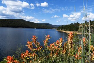 Body found in Barker Meadow Reservoir in Boulder County