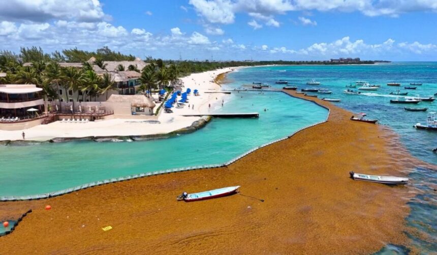Cancun Hotels Say “Few Cancellations” Despite Seaweed-Covered Beaches