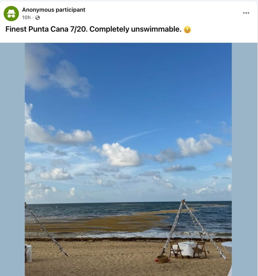 Dominican Republic Launches Environmental Operation in Response to Sargassum Invasion