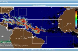 Dominican Republic Sargassum Seaweed In 2024: What To Know