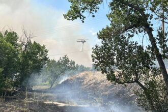 Douglas County wildfires near Chatfield State Park 90% contained