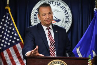 ICE Chief Doubles Down On Arresting Undocumented People With No Criminal History