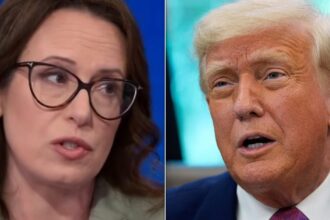 Maggie Haberman Puzzled By 1 Trump Move Amid Epstein Scandal