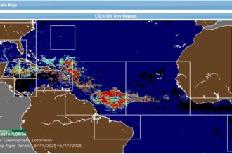 Mexican Beaches Overwhelmed by the Worst Sargassum Arrival Ever