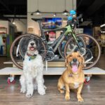 Mike's Bikes in Denver has good vibes, dogs and great bikes