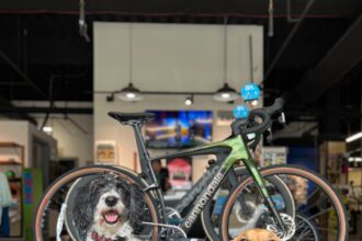 Mike's Bikes in Denver has good vibes, dogs and great bikes