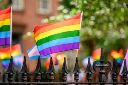 NPS Removes Bisexuality References From Stonewall Website