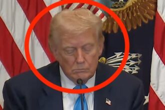 People Sure Think Trump Was Starting To Doze Off On Camera