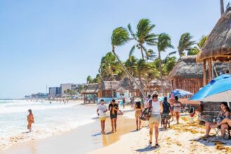 These 3 Playa del Carmen Beaches Stand Out for Low Sargassum Levels Ahead of Easter
