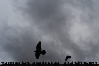 Tornado touches down in Morgan County