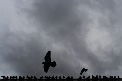 Tornado touches down in Morgan County