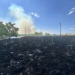 Wildfire sparks in Douglas County near Chatfield State Park