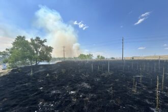 Wildfire sparks in Douglas County near Chatfield State Park