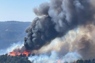 Wildfires ignite in Douglas County, add to damage from western slope blazes