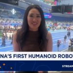 China’s robot vacuum Roborock plans mass-market cleaners with AI arms
