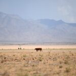 Colorado River consensus is 'tenuous' 2 months before federal deadline