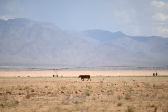 Colorado River consensus is 'tenuous' 2 months before federal deadline