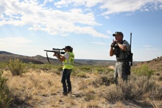 Colorado's wild horse management program expands birth control darting