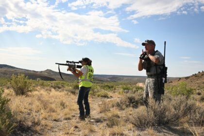 Colorado's wild horse management program expands birth control darting