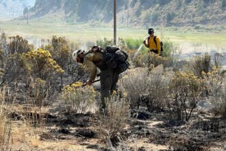 Containment grows on fires near Meeker