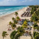 Palm trees lining Playa del Carmen beach