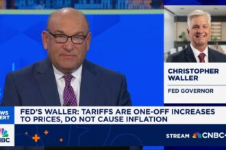 Fed's Waller, a candidate for chair, sees potential for half-point cut if labor market weakens further