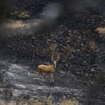 Fire near Garfield County expected to worsen