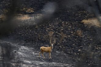 Fire near Garfield County expected to worsen