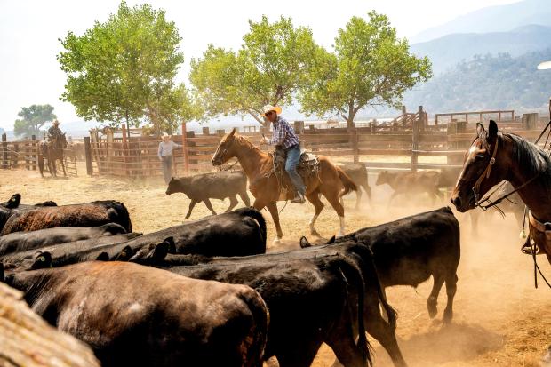 Gifford Fire threatens 800+ structures, leaves 3 injured in California
