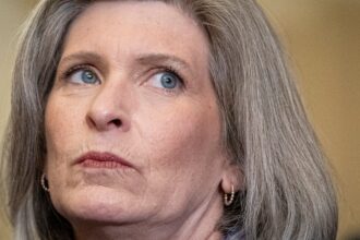 Joni Ernst Taunted With Own Words After Retirement Reports