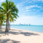 Coconut trees on beach in Pattaya, Thailand