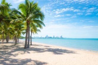 Coconut trees on beach in Pattaya, Thailand