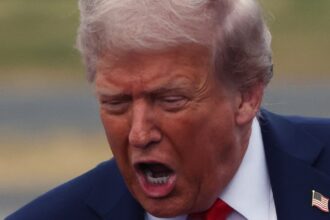 Mary Trump Rips Presidents Legal Troubles Amid D.C. Police Takeover