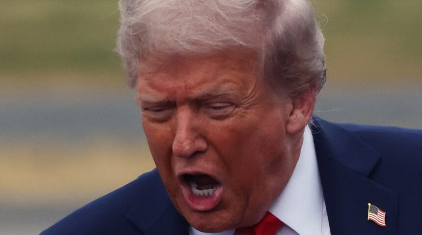 Mary Trump Rips Presidents Legal Troubles Amid D.C. Police Takeover