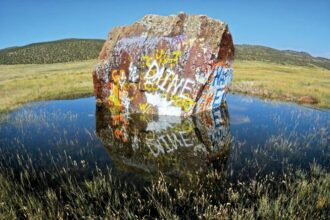 NISP moves forward despite rising costs, partner doubts