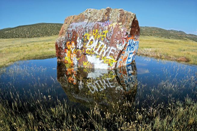 NISP moves forward despite rising costs, partner doubts