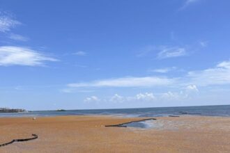 Sargassum Continues Invading Caribbean Beaches - When Does It End