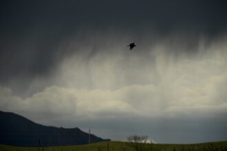 Severe thunderstorm alert for metro Denver