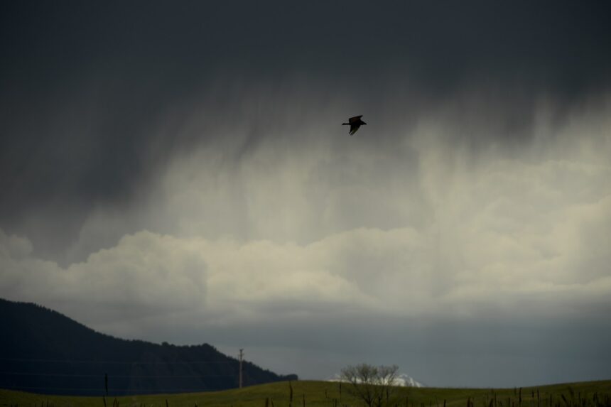 Severe thunderstorm alert for metro Denver
