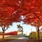 Statue of King Louis IX of France in Forest Park, St. Louis