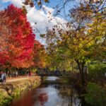 Fall foliage along Delaware River in Lambertville, NJ