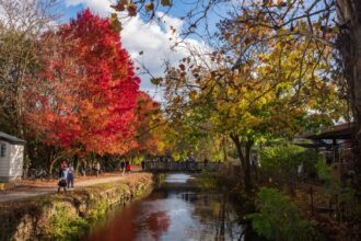 Fall foliage along Delaware River in Lambertville, NJ