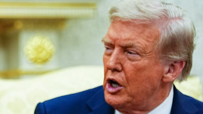 Trump's Latest Misspeak Has Critics Calling 'Total Bulls**t'