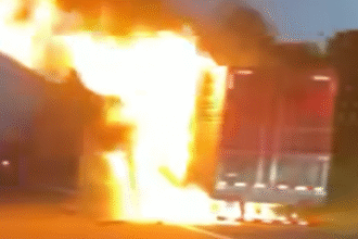 Vegan Firefighter Has Unforgettable First Call