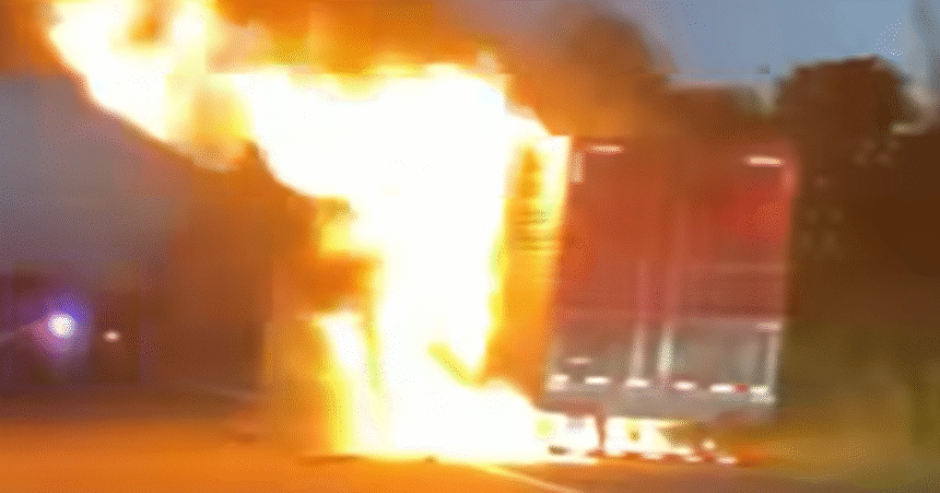 Vegan Firefighter Has Unforgettable First Call