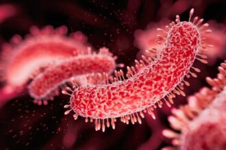 What Is Legionnaires' Disease? Experts Reveal What To Know About The Latest Spread
