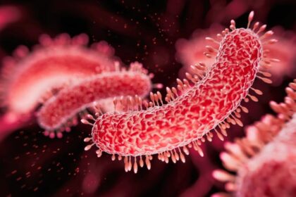 What Is Legionnaires' Disease? Experts Reveal What To Know About The Latest Spread