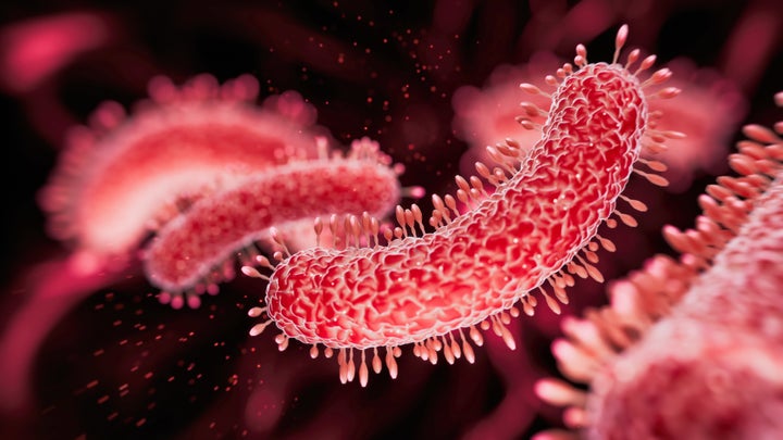 What Is Legionnaires' Disease? Experts Reveal What To Know About The Latest Spread