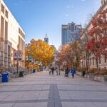Fall colors in Raleigh, NC