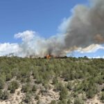 Wildfire sparks in western Colorado, forces evacuations